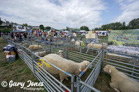 Lampeter Show 1.7.23 pics by Eifion Thomas