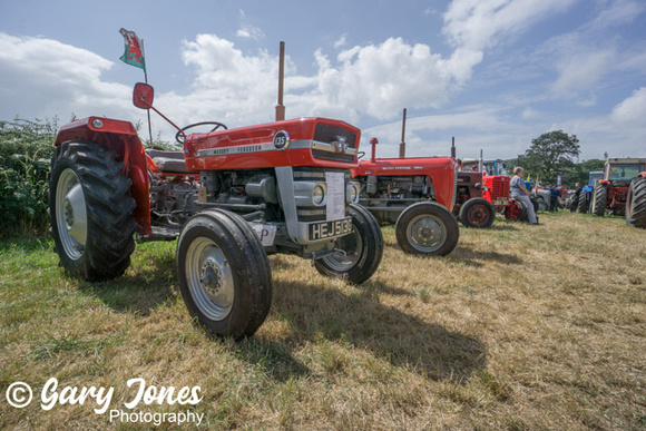 Lampeter_Show_2023 (7 of 169)