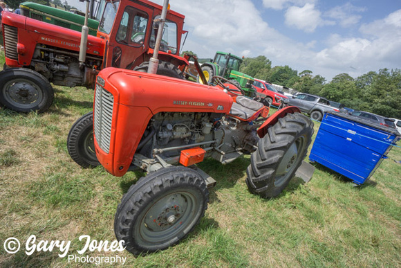 Lampeter_Show_2023 (5 of 169)